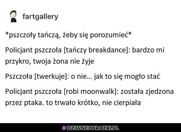 Pszczoły