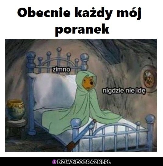 Poranki