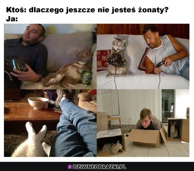 No ciekawe dlaczego