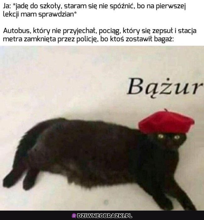 Kiedy musze być na rano