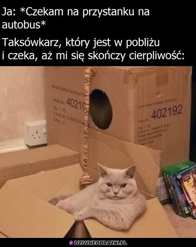 Taki jego wygląd