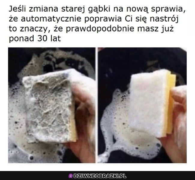 Zmiana gąbki