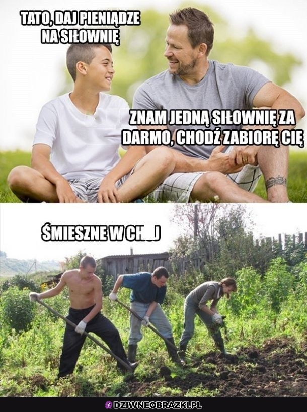 Darmowa siłownia