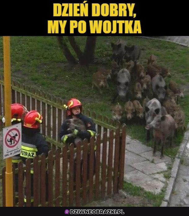Kiedy po syna przyszli koledzy
