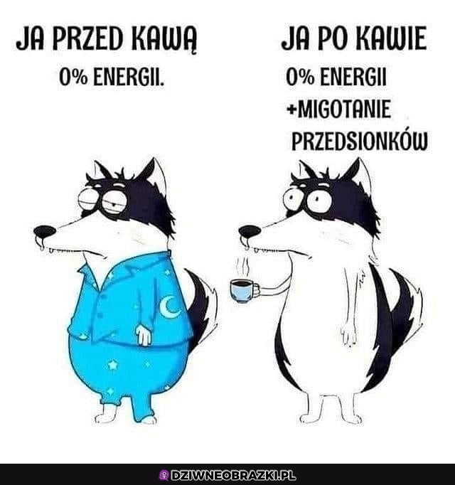 Wpływ kawy