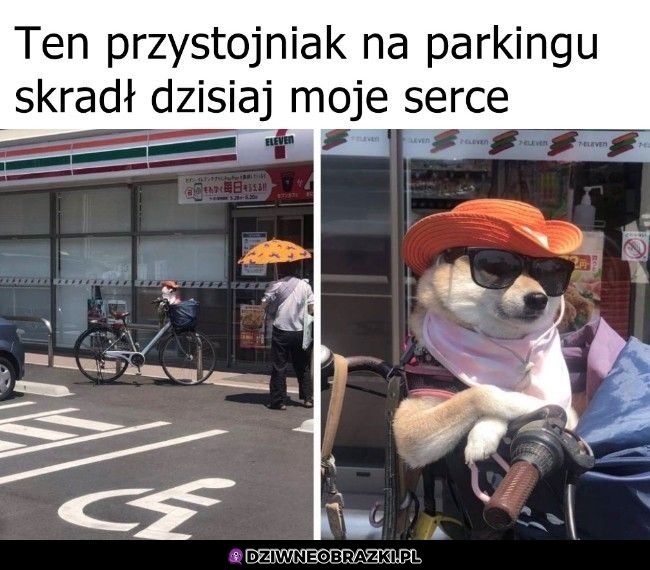 Ale przystojniak