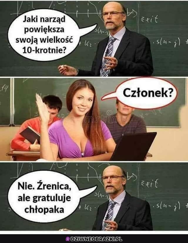 Narząd