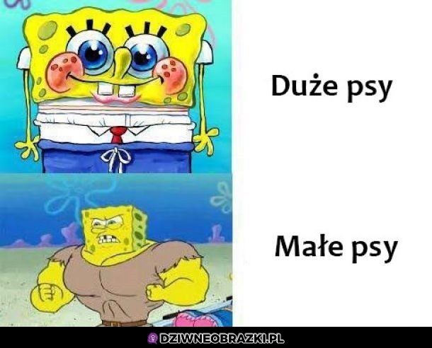 Psy