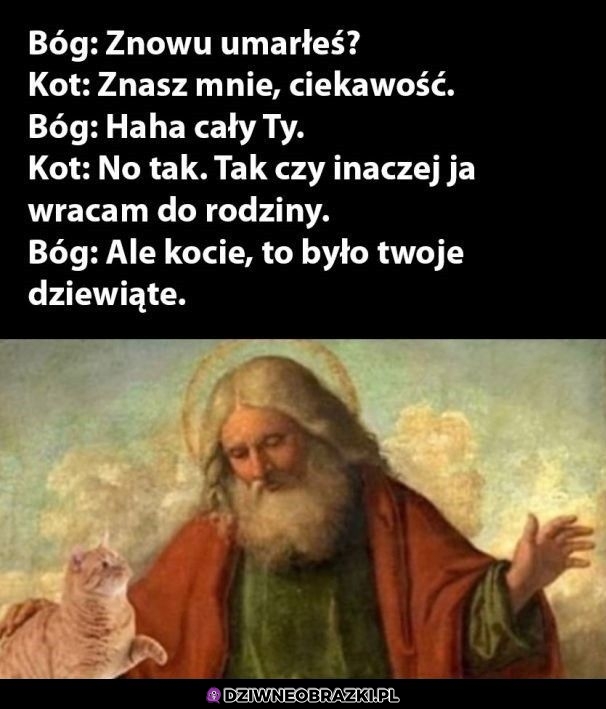 Znowu, kocie?