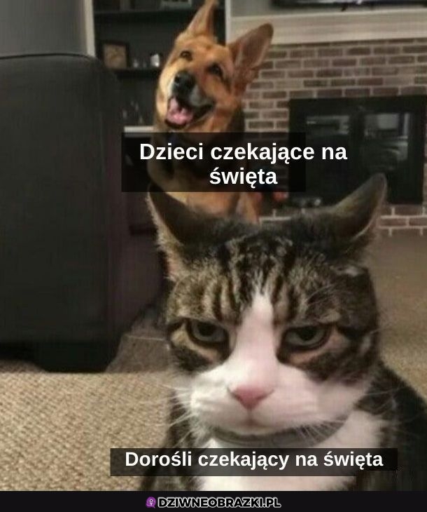 Czekanie na święta