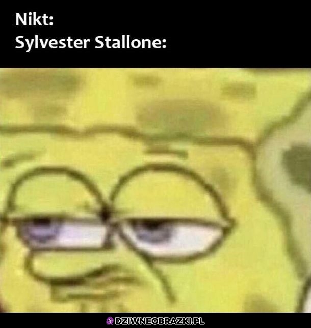 Stallone