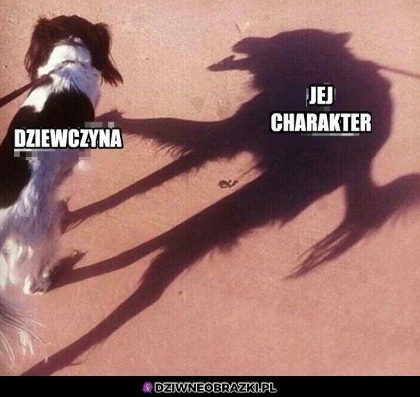 Dziewczyny