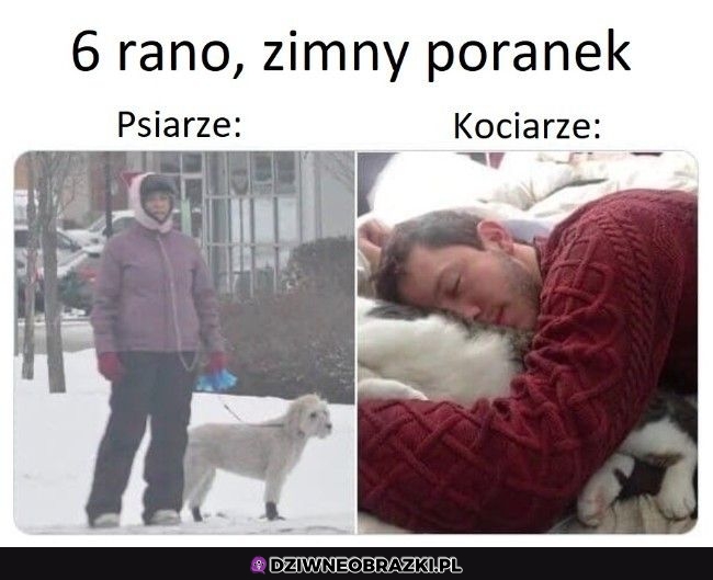 Najlepszy poranek