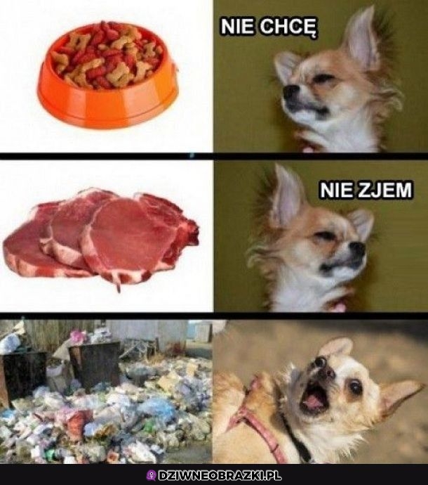 O pyszności