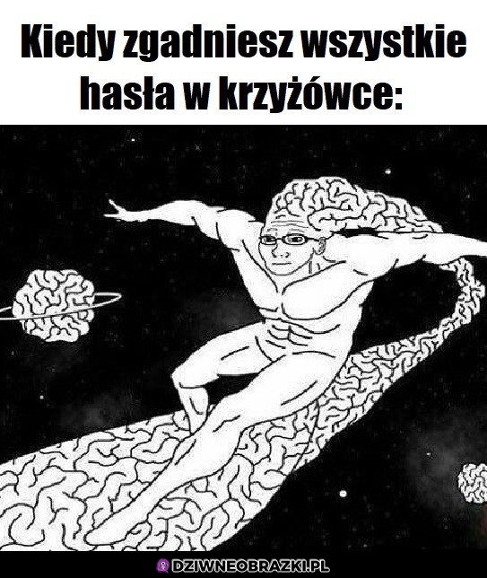 Krzyżowki