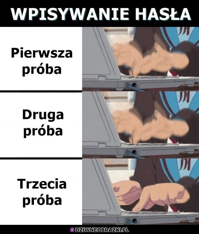 Tak to wygląda