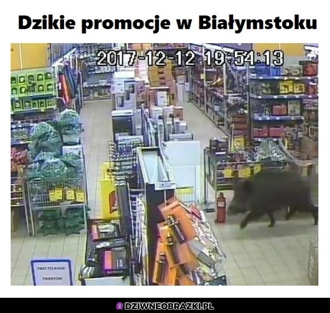 Promocja na podlasiu