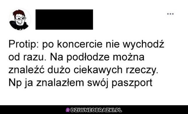 Protip koncertowy