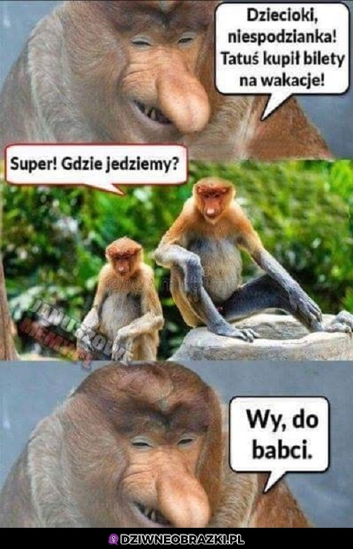 Wypad gównioki