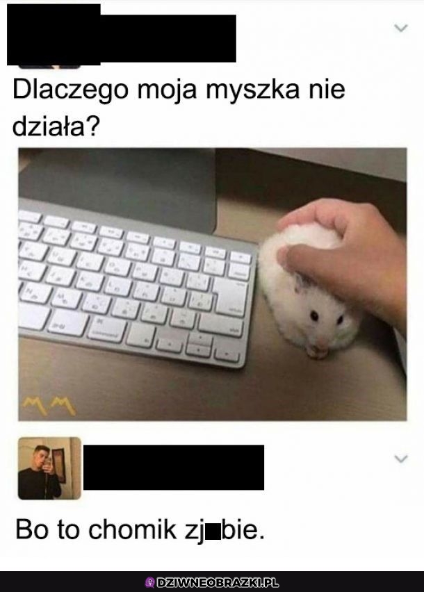 Myszka nie działa