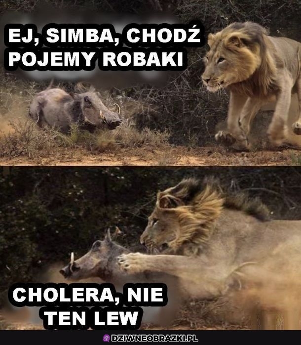 Ups