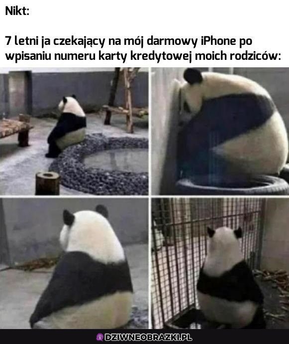 No cóż