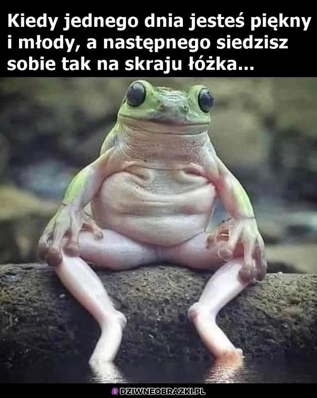 Gdzie to przeleciało