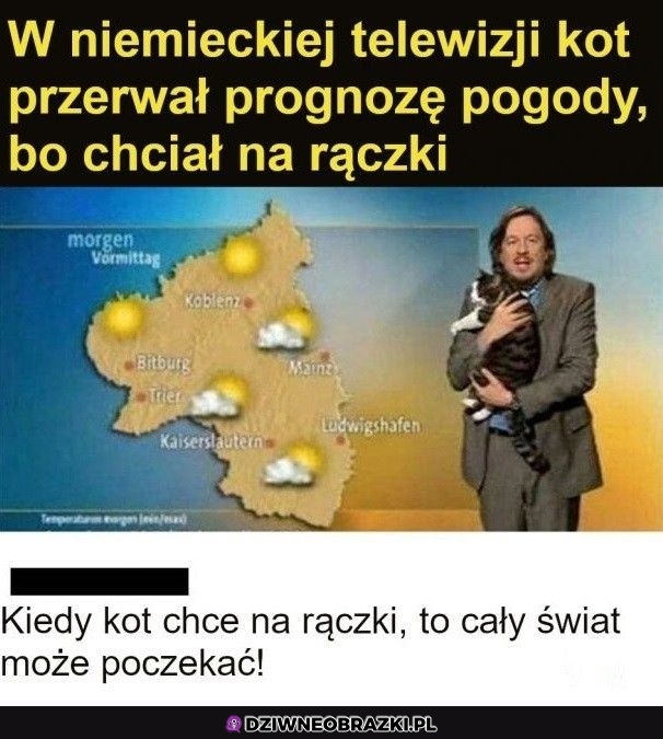 Priorytety właściwe