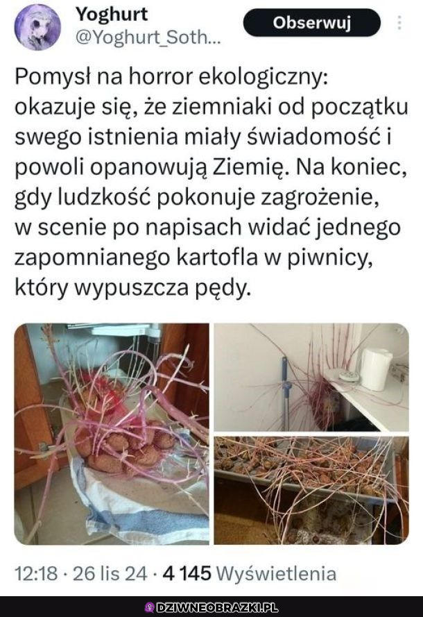 Horror ekologiczny