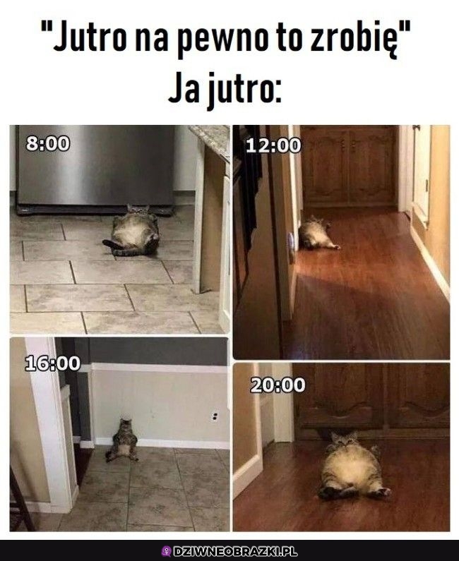 Ale jutro już na pewno