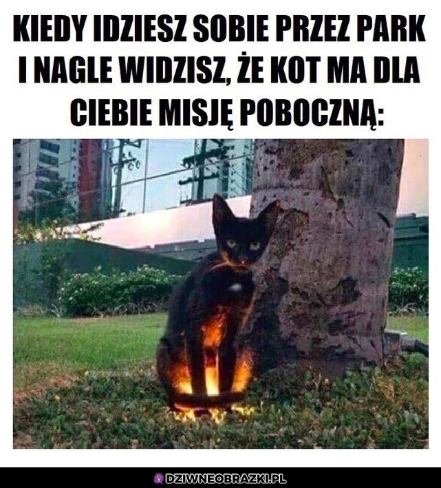 Kitku z misją