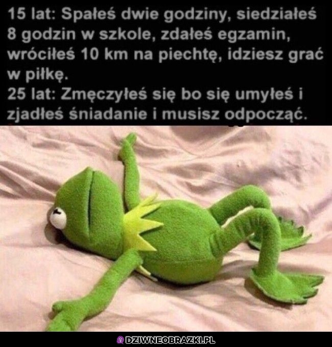 Bycie dorosłym