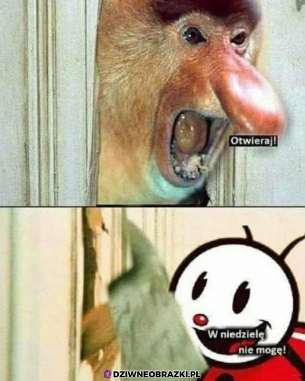 Otwieraj!