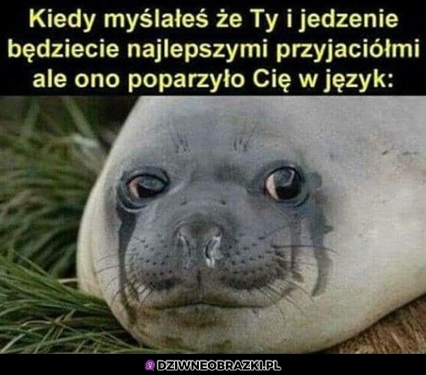Ten moment