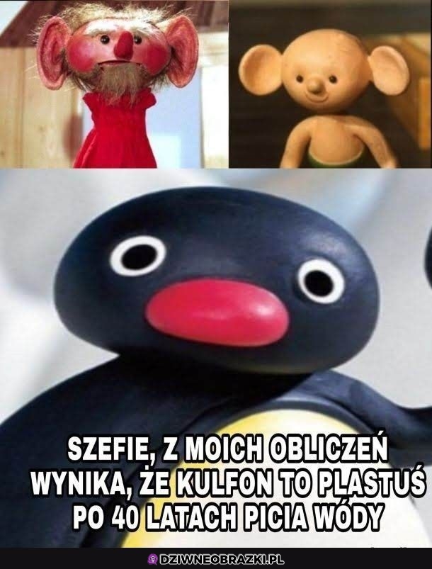 Na to wygląda