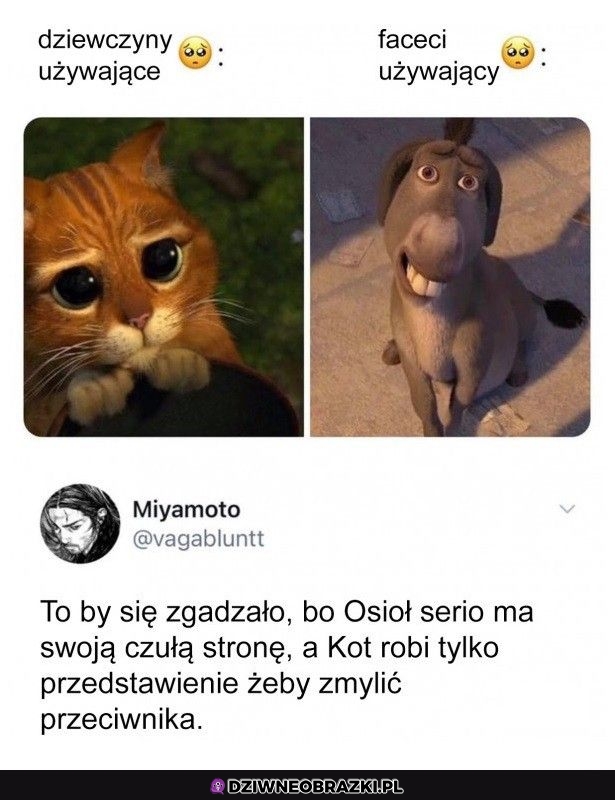 Dokładnie