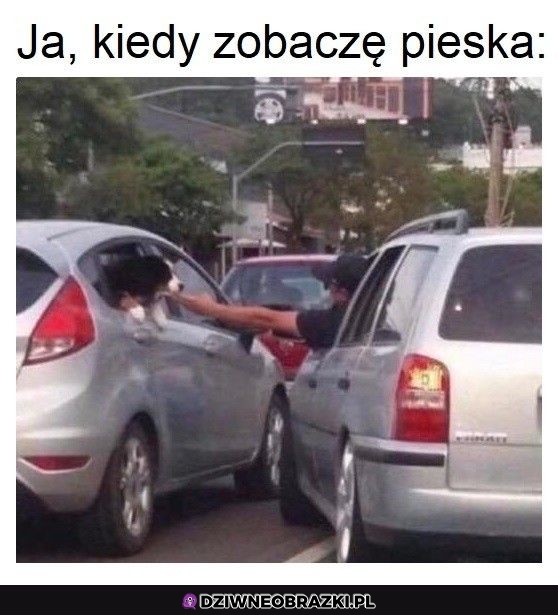 Zawsze