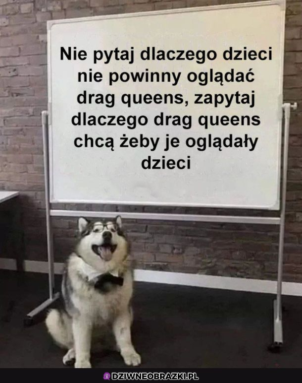 Zapytaj...