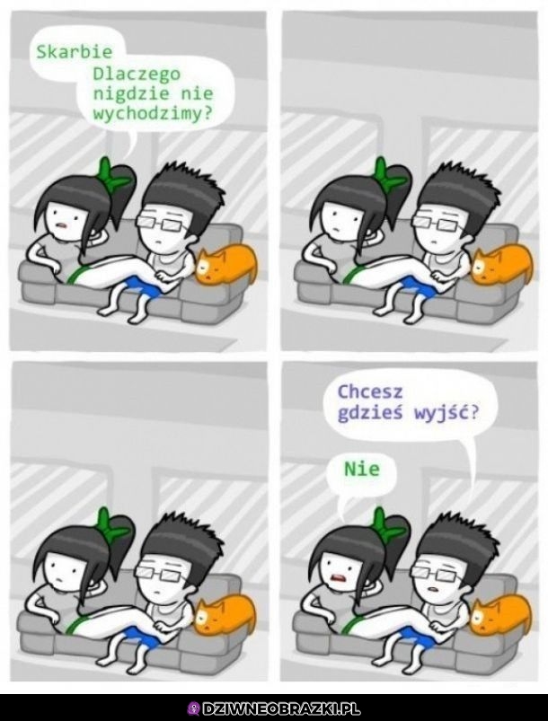 Dlaczego to robią?