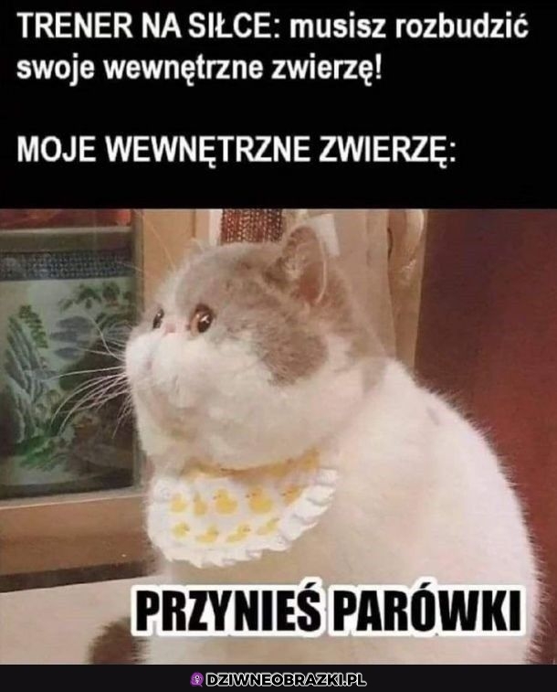 Wewnętrzny zwierz