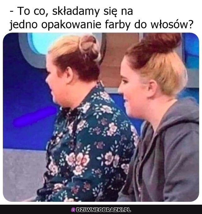 Składka na farbę