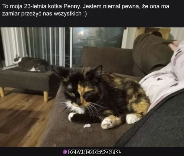 Oby żyła jak najdłużej!