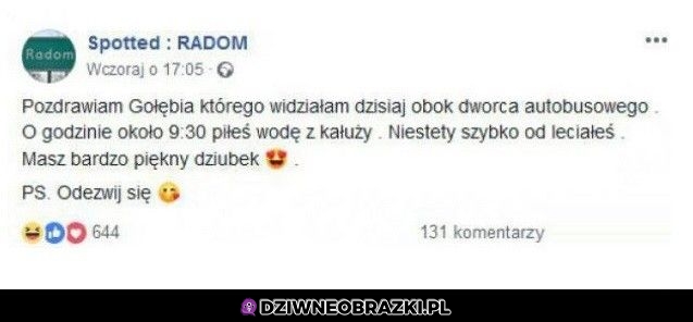 Pozdrowienia