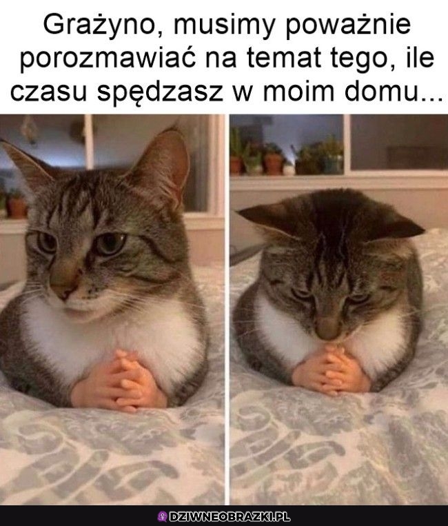 Czas na tę rozmowę