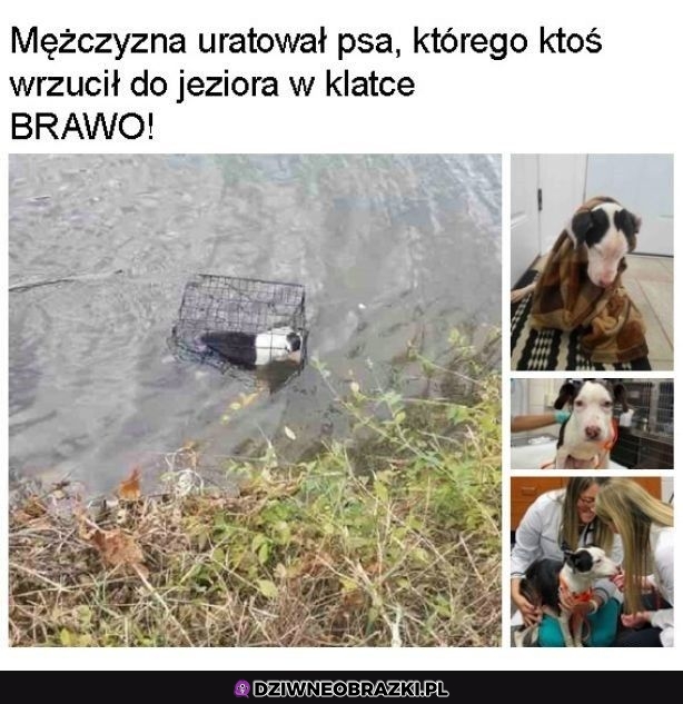 Prawdziwy bohater