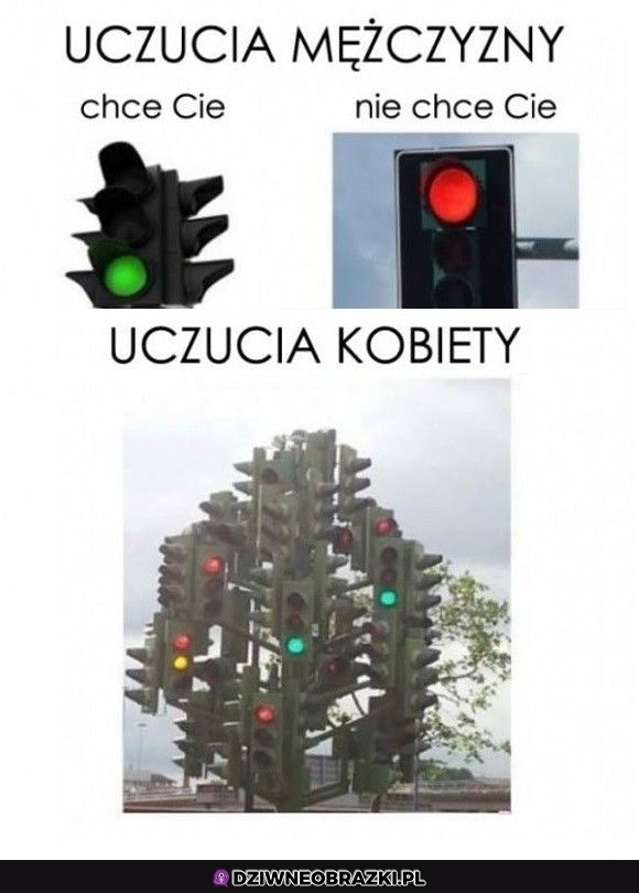 Tak to wygląda