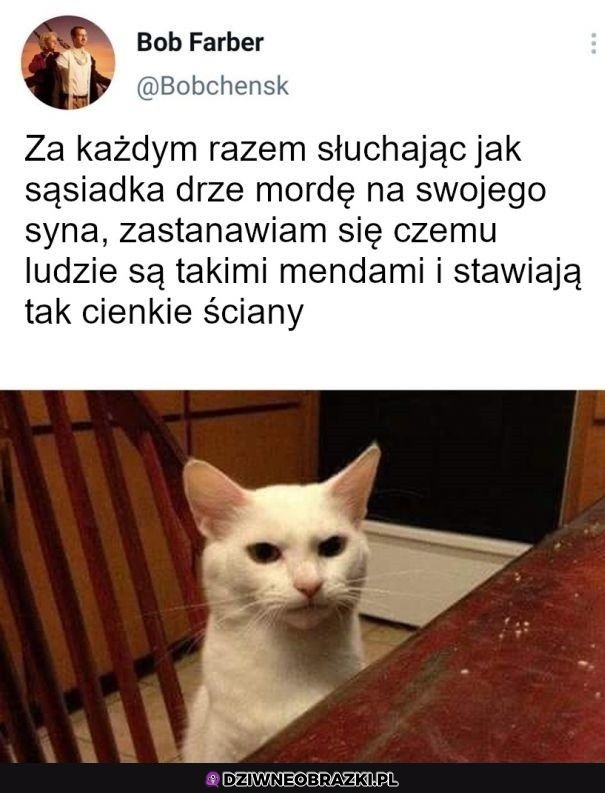 Dlaczego tak