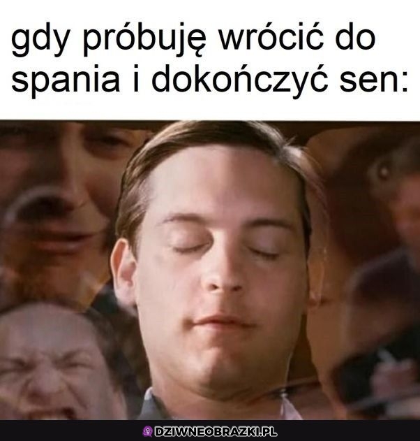 Ten moment