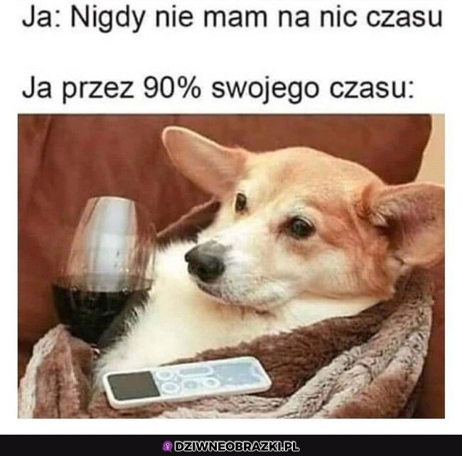 To ja