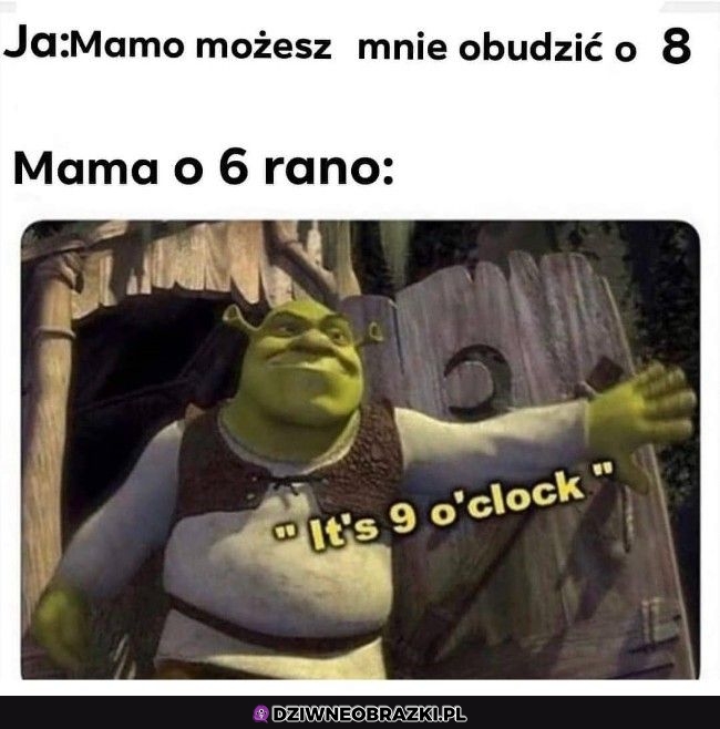 Wstawaj ale już